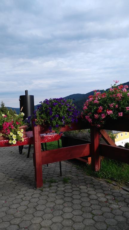 Penzion Lesni Pramen Pec pod Snezkou Bagian luar foto